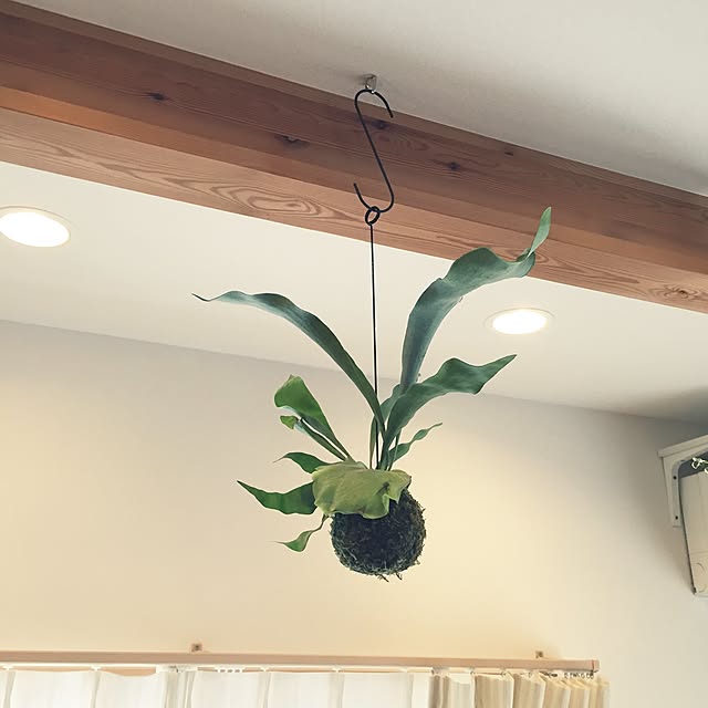yuki0511さんの実例写真