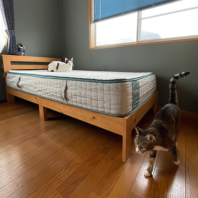 nobikoさんの部屋