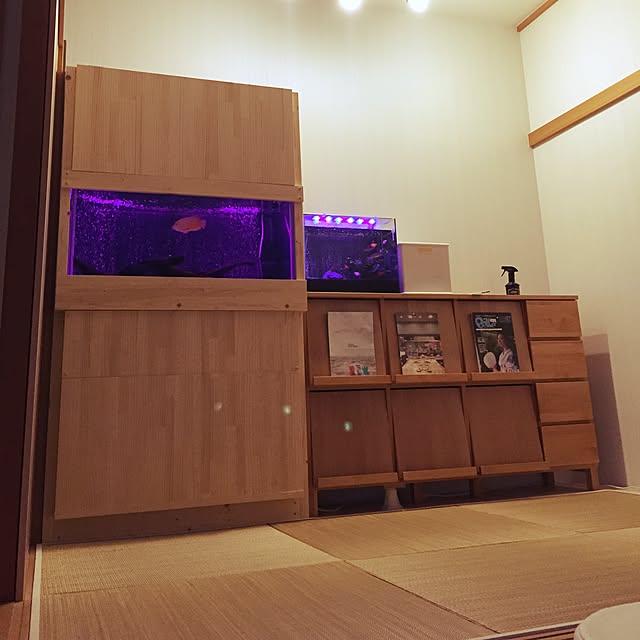 実例写真