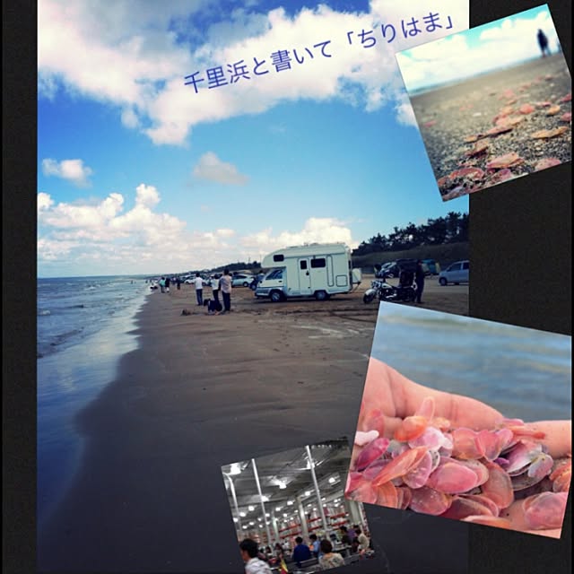 実例写真