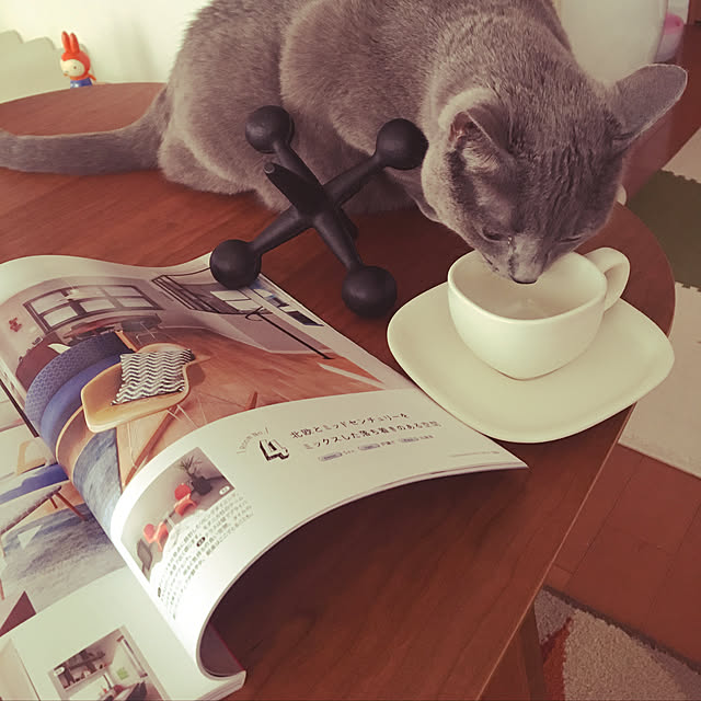 ikettenさんの実例写真
