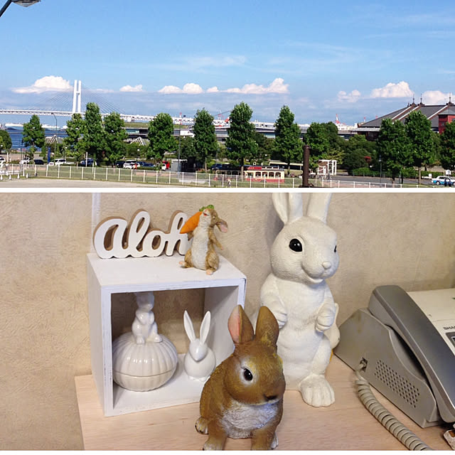 yokomokoさんの実例写真