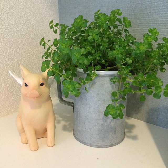 a.2882さんの実例写真