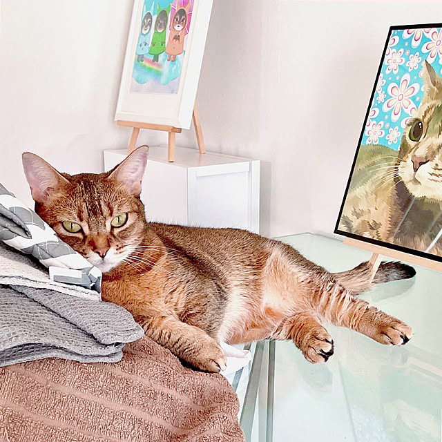 myuさんの実例写真