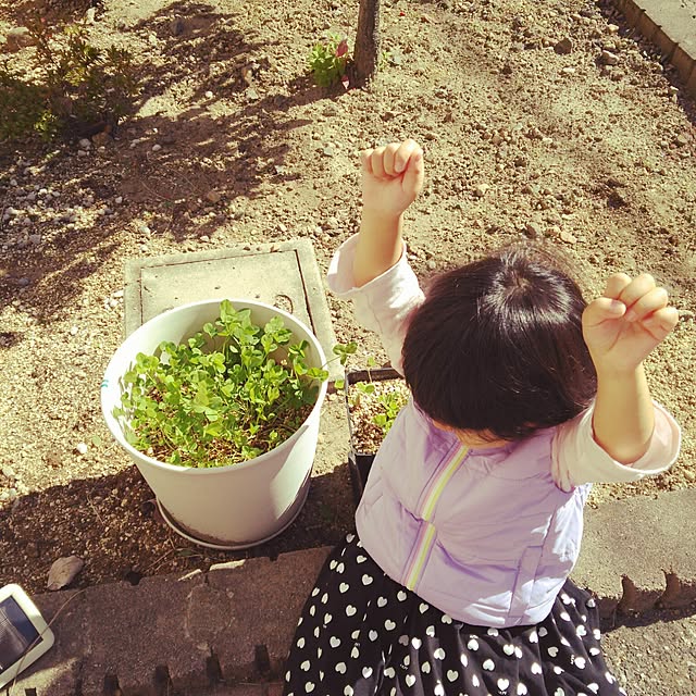 sunflowerさんの実例写真