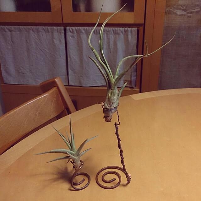 emi87さんの実例写真