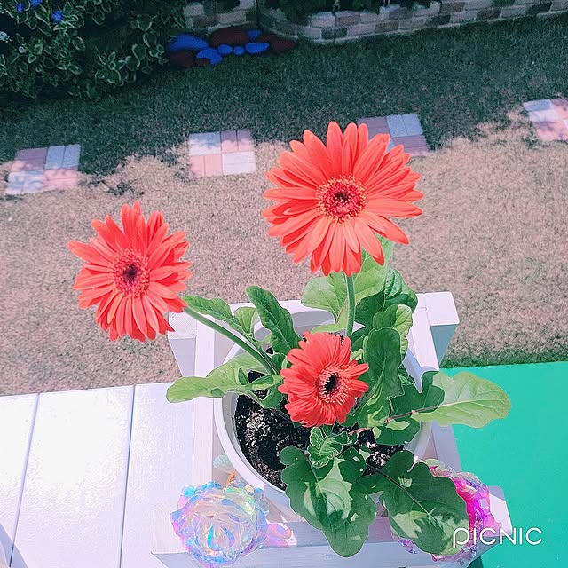 Miyumamaさんの部屋