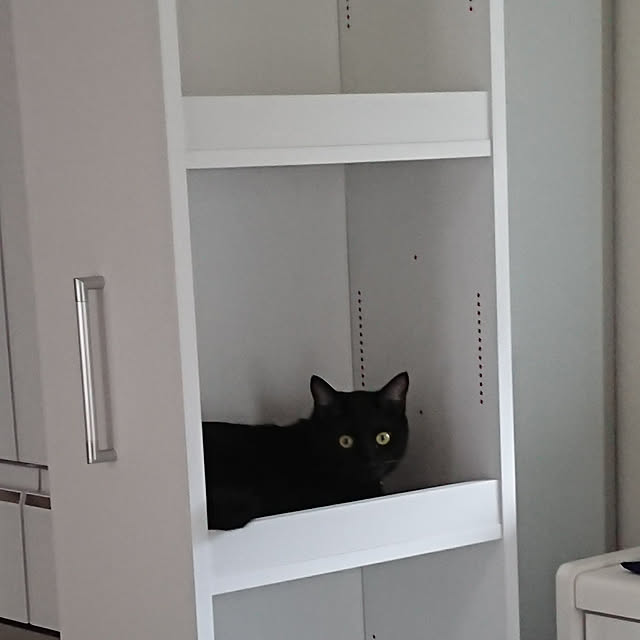maikyさんの実例写真