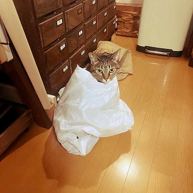Mさんの部屋