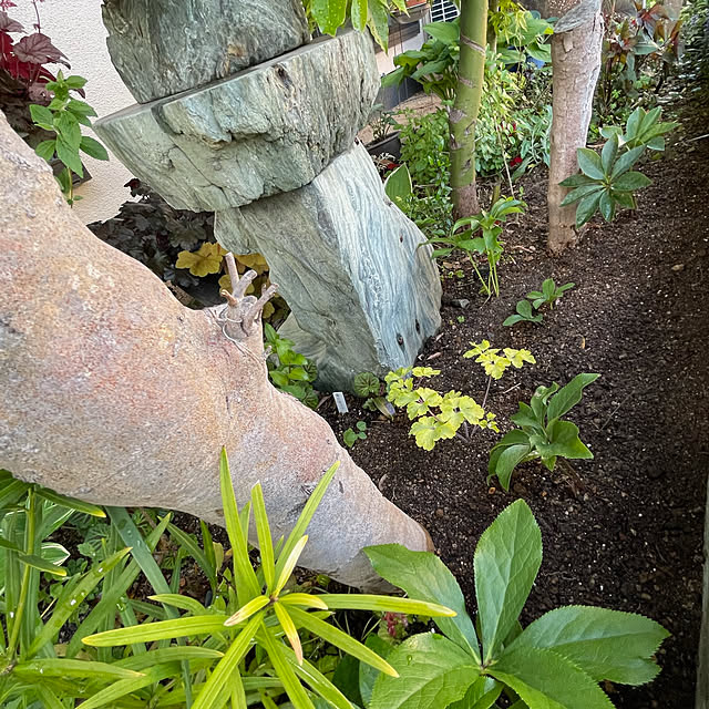 buchiさんの部屋