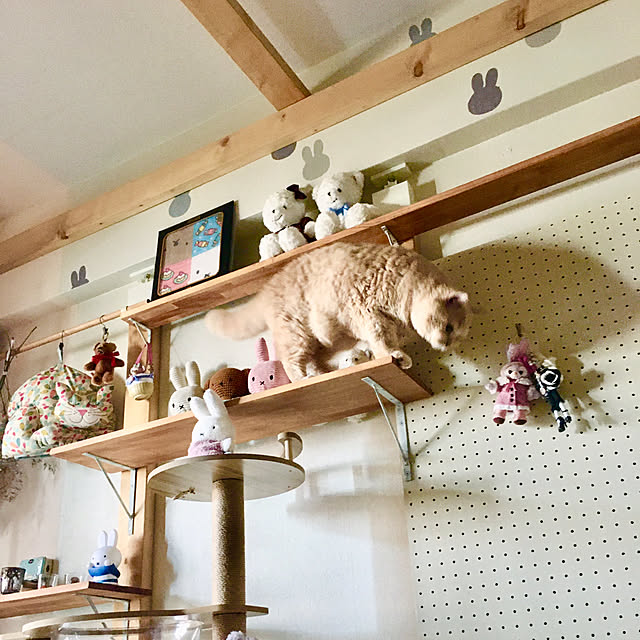 naokoさんの部屋