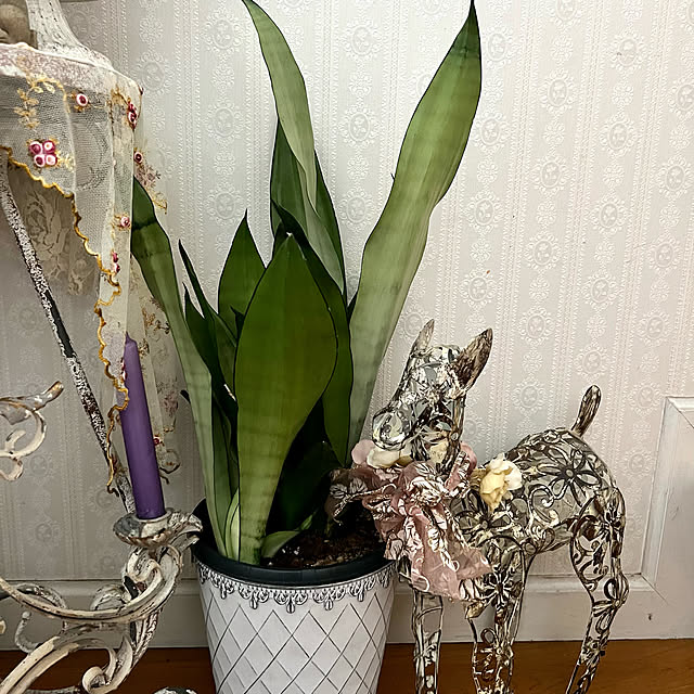 AYUKOさんの実例写真