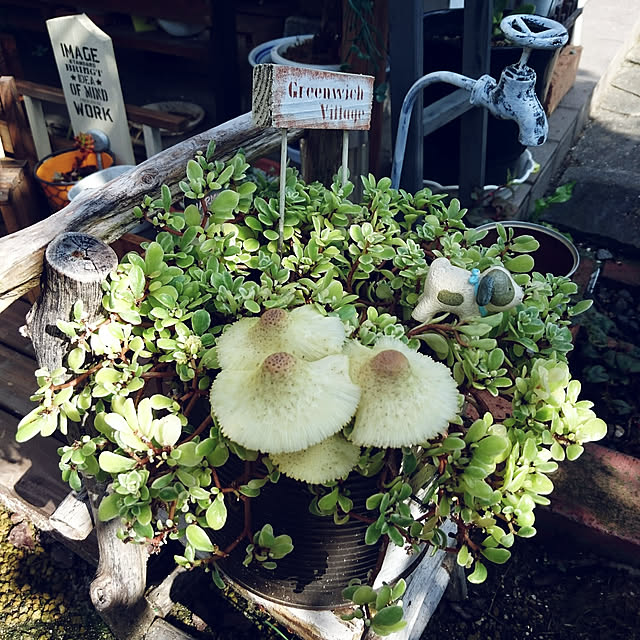 mozuku315さんの実例写真