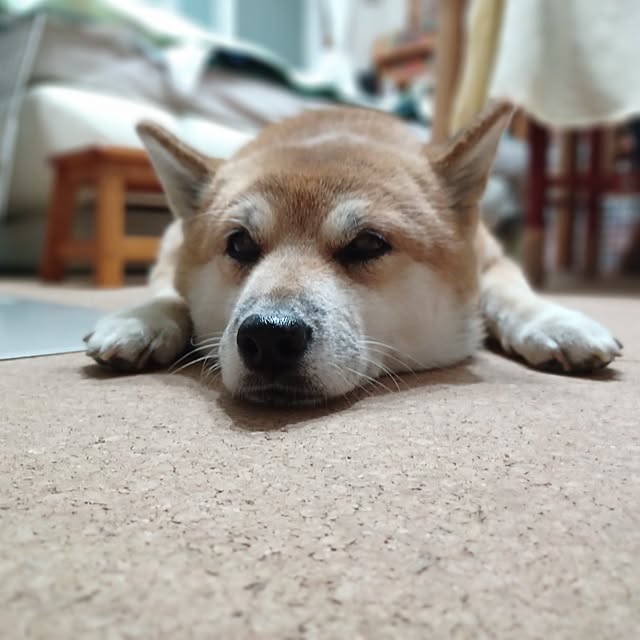 nanaさんの部屋