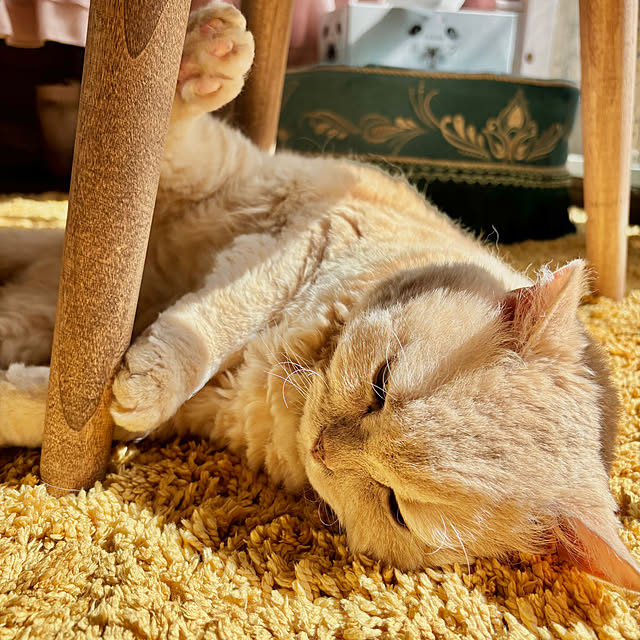 naokoさんの部屋