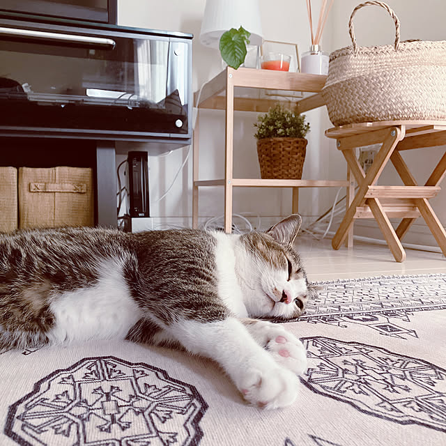 nekomiさんの実例写真