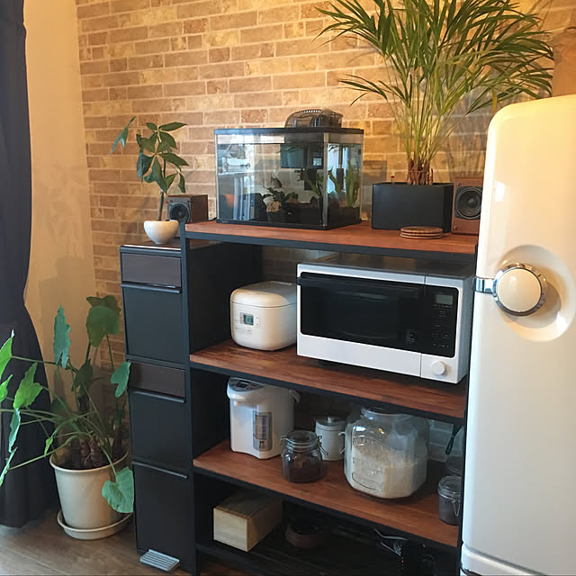 sunny_plantsさんの実例写真