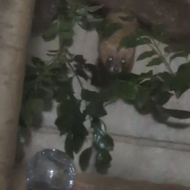mori_6_12さんの部屋