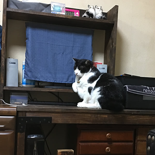 kmakkyiさんの実例写真