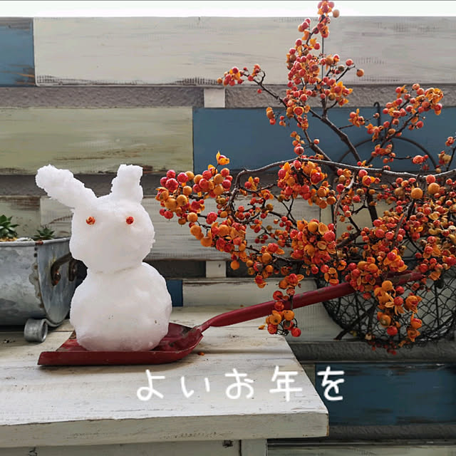 mionaさんの実例写真