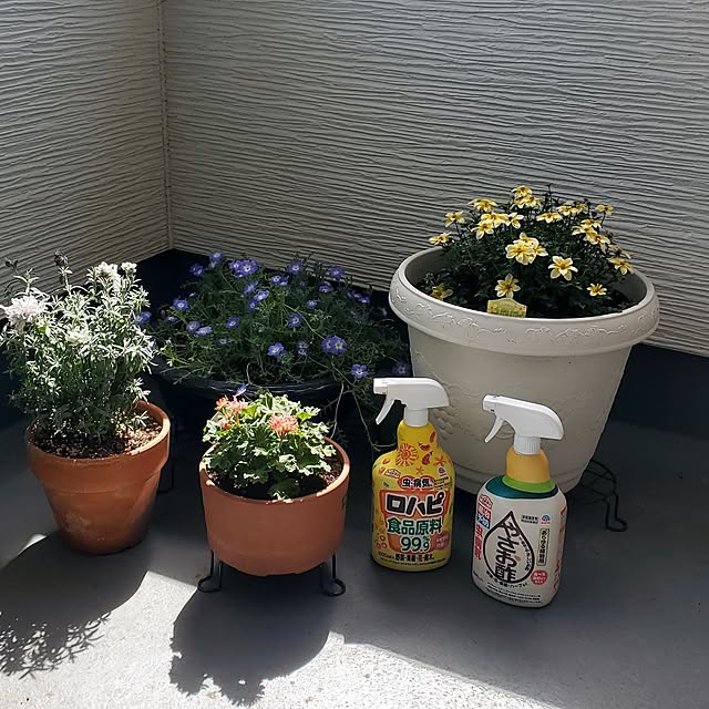 tokkiさんの部屋