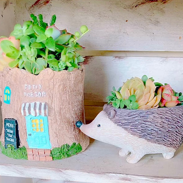 Hanakaさんの部屋