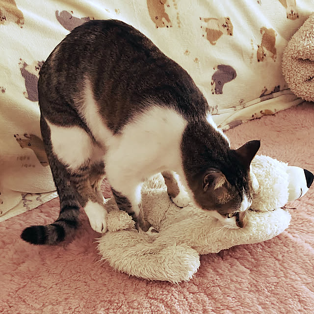 haruminさんの実例写真
