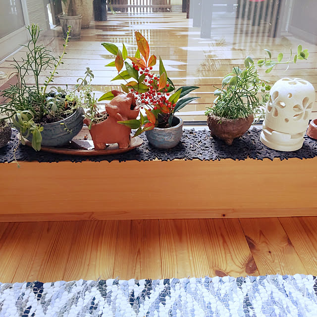 玄関/入り口/観葉植物/カフェ風/多肉植物/ガーデニングのインテリア実例 - 2021-11-15 12:06:21
