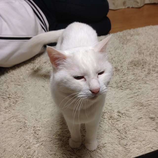 Kinanさんの実例写真
