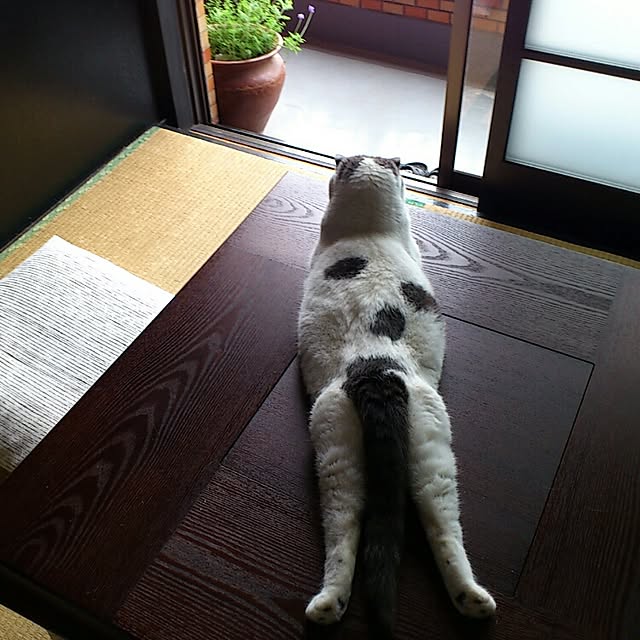 mayuさんの実例写真