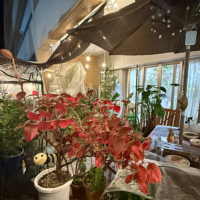 Aqettyさんの実例写真