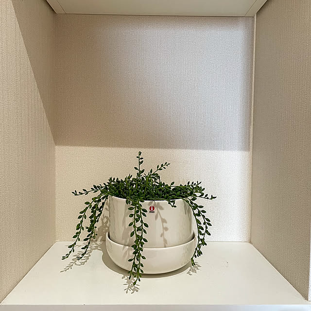 sao.minimallifeさんの部屋
