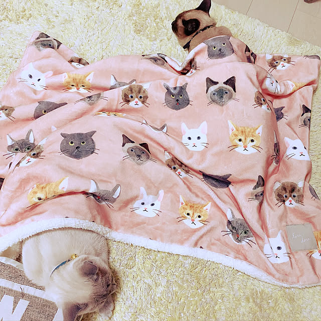 aichinさんの実例写真
