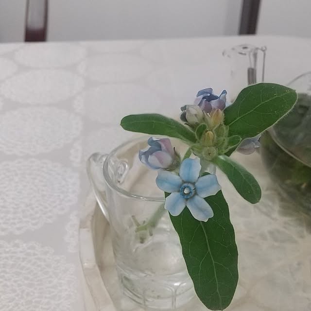 Rさんの部屋