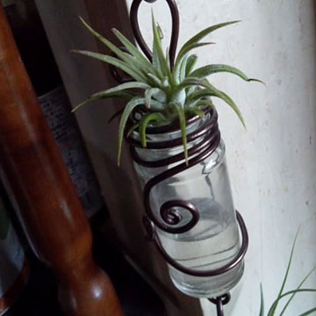 coharuさんの実例写真