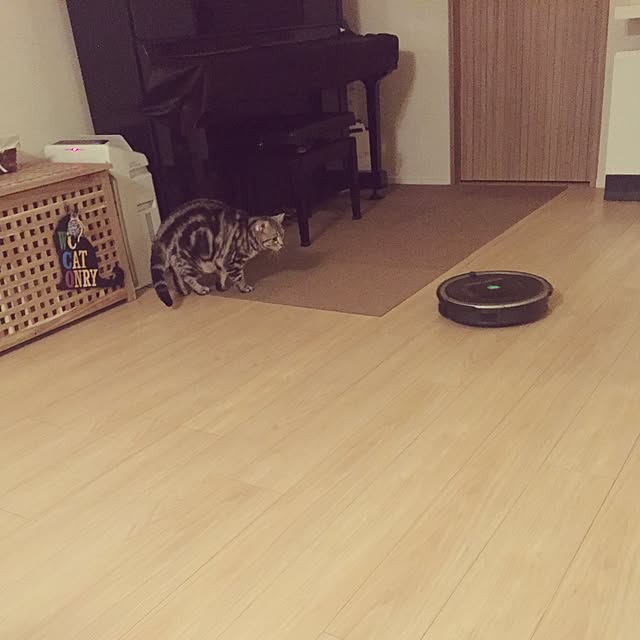 y.k.0123さんの実例写真