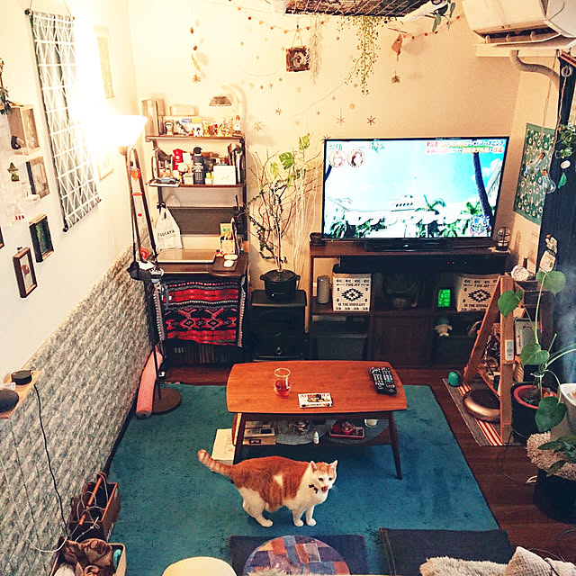 porinさんの実例写真