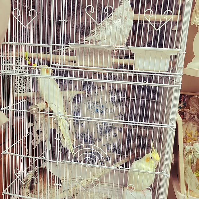 ANTENNAさんの実例写真