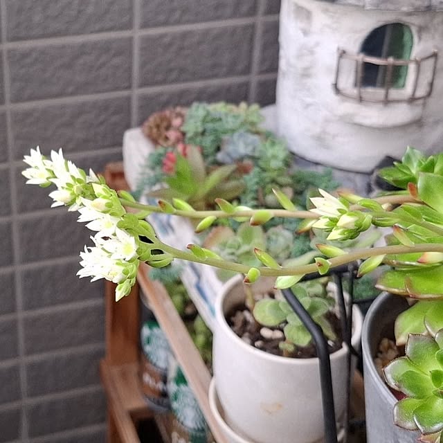 noaさんの部屋