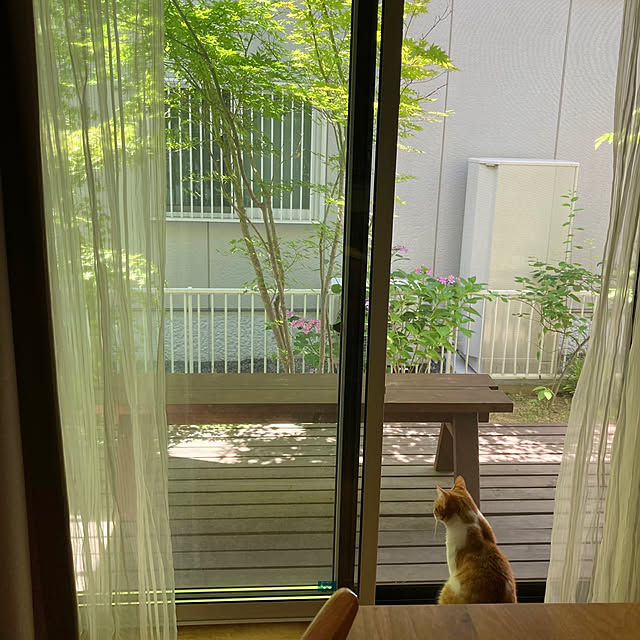 mkさんの実例写真