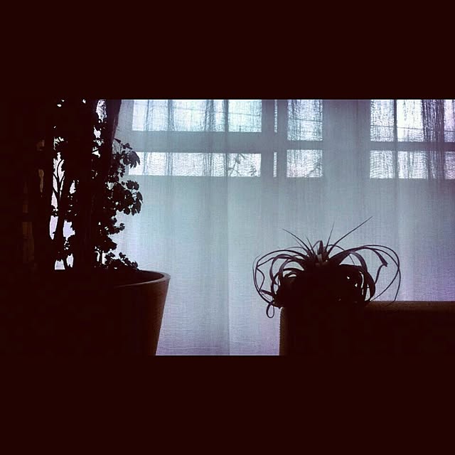 teさんの実例写真