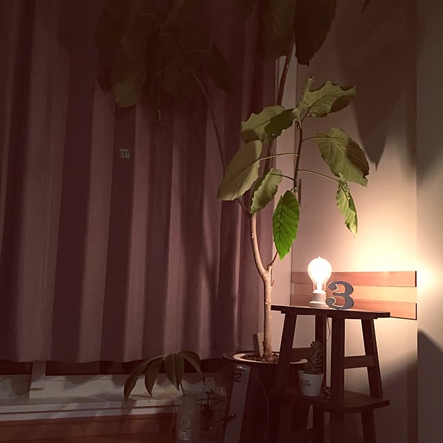 .tamさんの実例写真