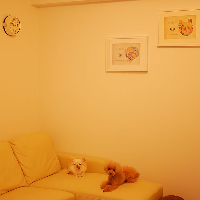 piyomi05さんの実例写真