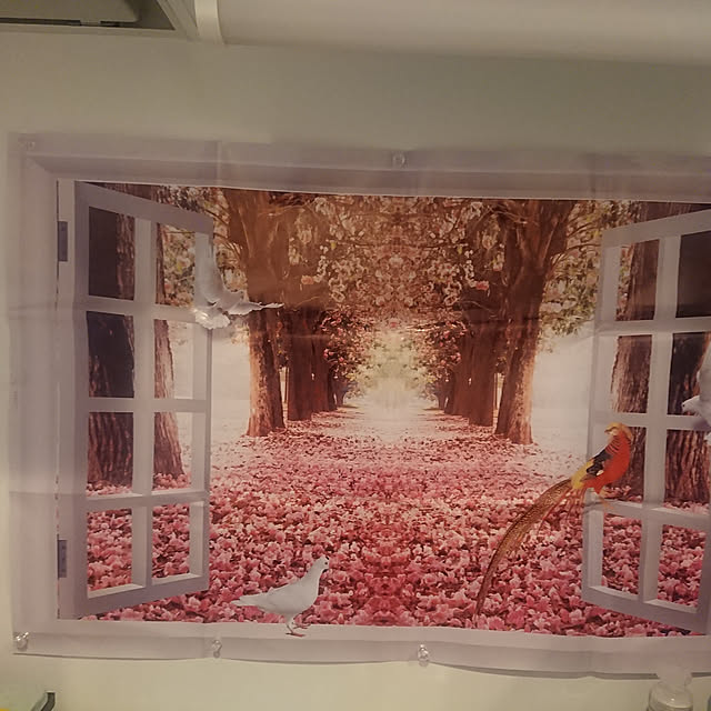 dorami0627さんの実例写真