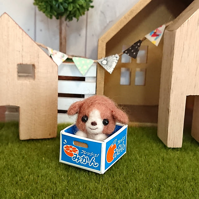 chiuchiuさんの実例写真