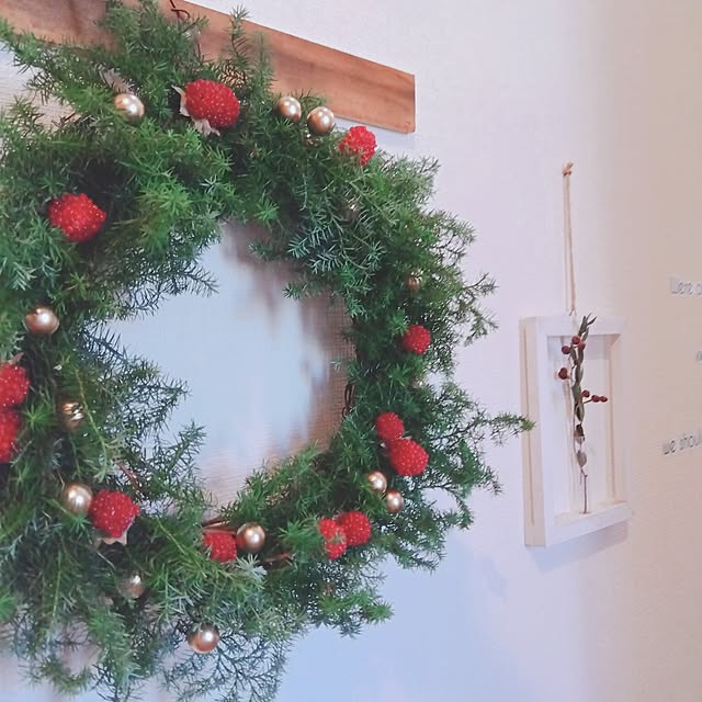 Mikaさんの実例写真