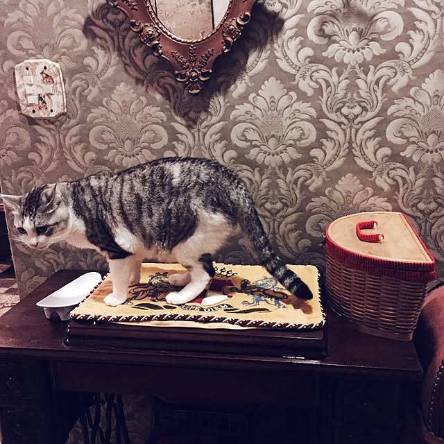 emmyyさんの実例写真
