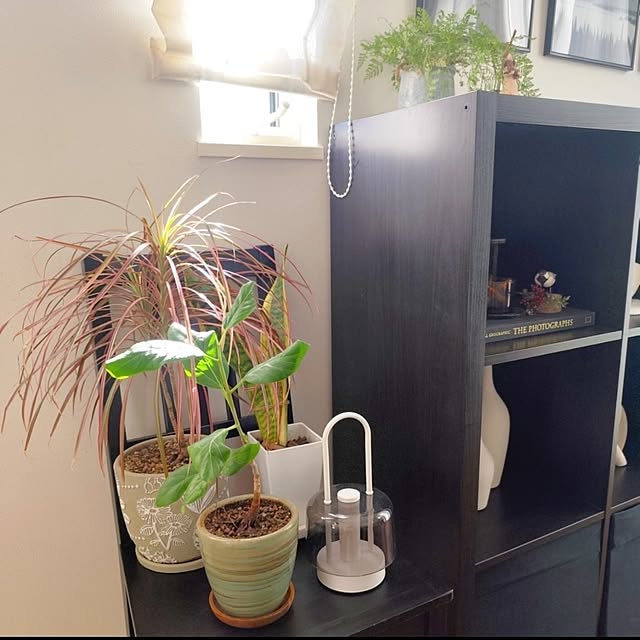 coco0.84.さんの部屋