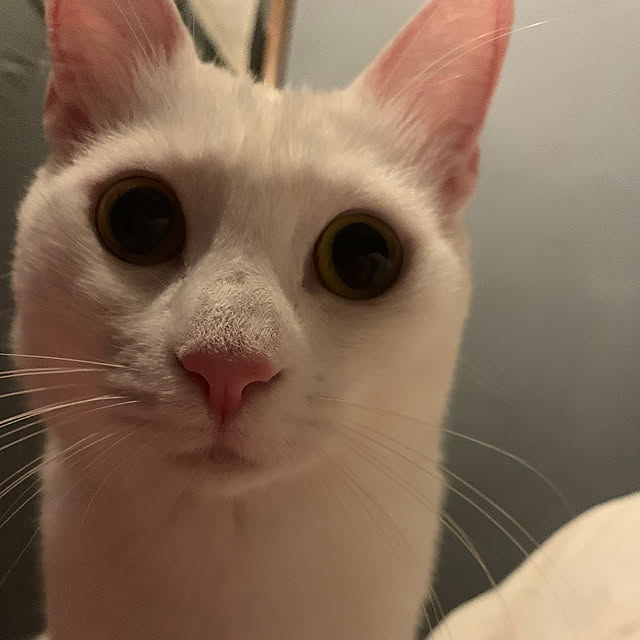 keiさんの実例写真
