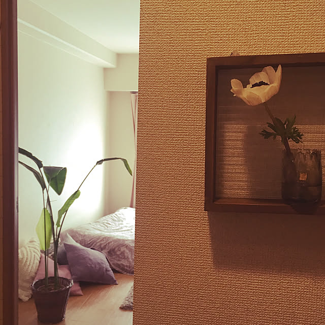 Tomoさんの実例写真